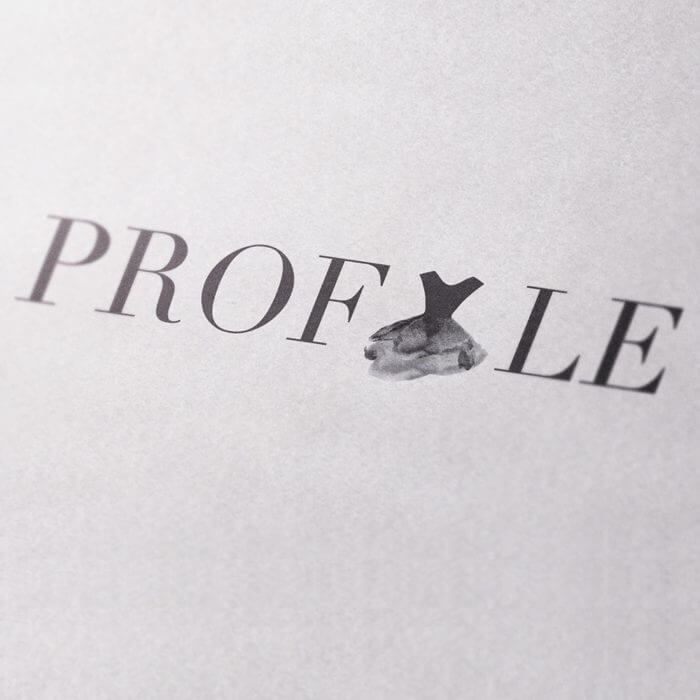 Profyle Boutique Branding