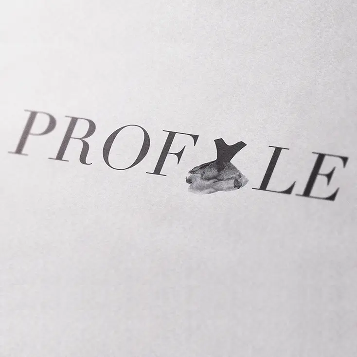 Profyle Boutique Branding